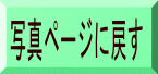 ʐ^y[Wɖ߂