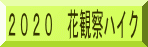 19N̉Ԋώ@nCNA