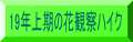 19N̉Ԋώ@nCN