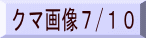 N}摜V/PO