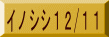 イノシシ12/11