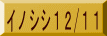 イノシシ12/11