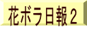 花ボラ日報2