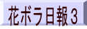 花ボラ日報3