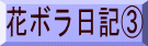 花ボラ日記B