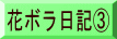 花ボラ日記B