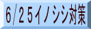 6/25イノシシ対策