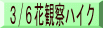 3/6花観察ハイク
