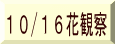 10/16花観察
