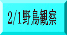 2/1野鳥観察