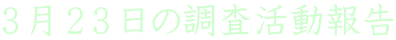 RQR̒