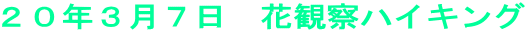 20年3月7日 花観察ハイキング