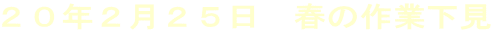 QONQQT@t̍Ɖ