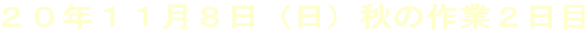 QONPPWijH̍ƂQ