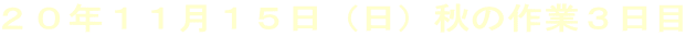 QONPPPTijH̍ƂR