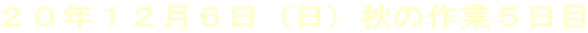 QONPQUijH̍ƂT