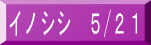 イノシシ 5/21