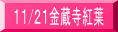 11/21金蔵寺紅葉