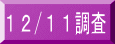 12/11調査