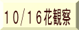 10/16花観察