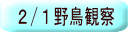 2/1野鳥観察