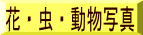ԁEEʐ^