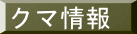クマ情報 