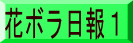 ԃ{P