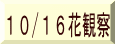 10/16花観察