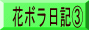花ボラ日記③