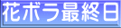 花ボラ最終日
