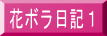 花ボラ日記１