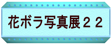 花ボラ学校