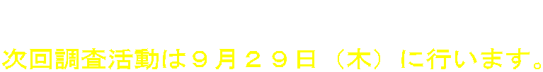  @ 񒲍͂XQXi؁jɍs܂B