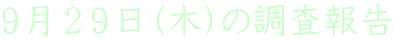 XQXi؁j̒
