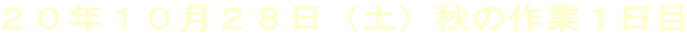 QONPOQWiyjH̍ƂP
