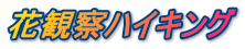 花観察ハイキング 